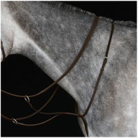 Running Martingale Iv